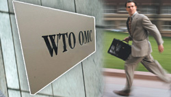 О ВТО и постоянстве перемен