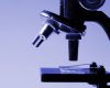 Специалисты назвали причины развития нарушения сердечного ритма Специалисты назвали причины развития нарушения сердечного ритма