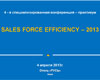  IV  -  Sales Force Efficiency 2013