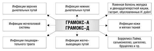 Еще раз о ГРАМОКСЕ.Новый отечественный АМОКСИЦИЛЛИН | Щотижневик АПТЕКА