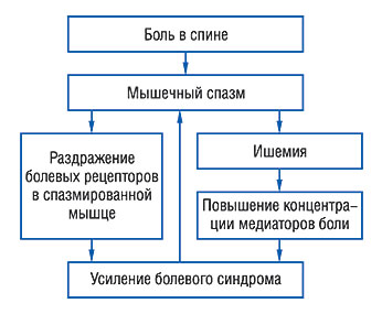 Порочный круг при боли в спине