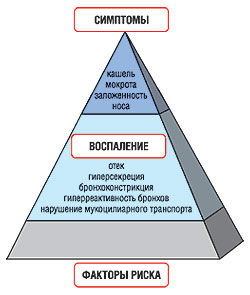 Патогенез инфекционно-воспалительных заболеваний дыхательных путей