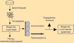 Преобразования препарата до момента поступления действующего вещества в системный кровоток