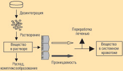 Преобразования препарата до момента поступления действующего вещества в системный кровоток