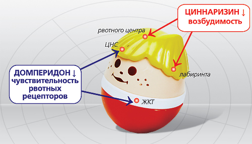 ЦИННАРИДОН (циннаризин+домперидон): двойной эффект и повышенная эффективность