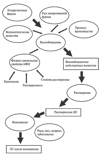 Процессы, происходящие в организме с ЛС