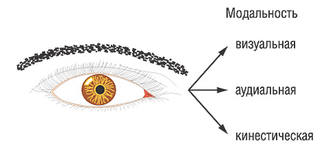 Различные модальности восприятия и передачи информации (сенсорные типы личности)