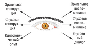 Движения глазных яблок  — сигналы об источнике воссоздания или моделирования образов