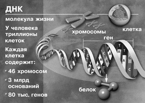 Доклад: Международный проект 