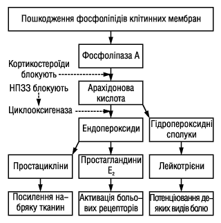 p_335_14_080402_tramad.gif (9004 bytes)