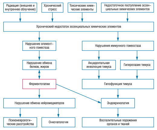 Рисунок. Причины возникновения и последствия гипомикроэлементозов (Скальный А.В., Кудрин А.В., 2000). 