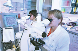 Цейсовский аксиоскоп/микроскоп позволяет провести патогистологический анализ тканевых фрагментов в ходе фармацевтической разработки