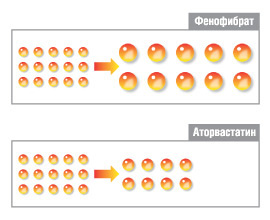 Рис.4. Изменения частичек ЛПНП при приеме аторвастатина преимущественно количественные, а фенофибрата — качественные