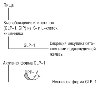 ADA2007-PIC.jpg (16440 bytes)