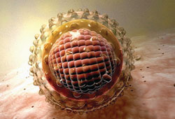 Вакцинация против ротавируса может повлиять на модели распространения инфекции и частоту вспышек заболевания