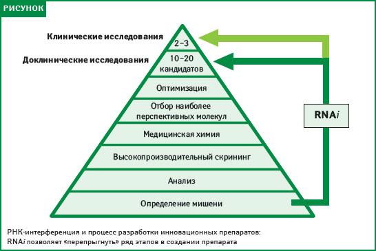 РНК-интерференция и фарма