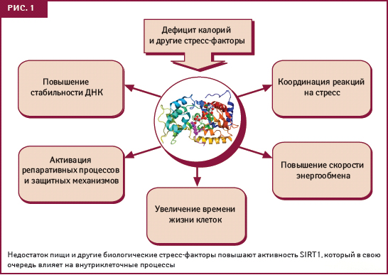 Рис. 1