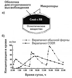 Строение ЛФ верапамила с отсроченным высвобождением COER (СOVERA HS) (а) и сравнение динамики концентрации АФИ после ее приема с верапамилом обычного высвобождения