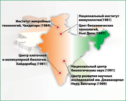 Индия фармацевтическая: стратегии завоевания глобального лидерства