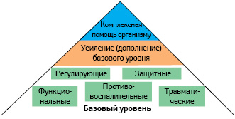 Систематизация топ-группы препаратов Heel