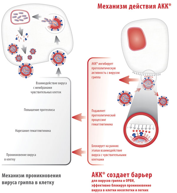 Почему ребенок часто болеет