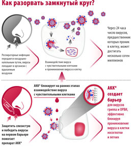 АКК® — барьер от гриппа и простуды