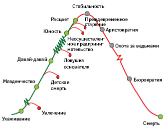 Жизненный цикл организации и культура управления