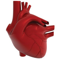 В погоне за лидерством: наиболее продаваемые кардиологические препараты 2012 г.