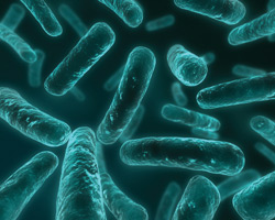 Новый класс антибактериальных средств для борьбы с мультирезистентными микроорганизмами
