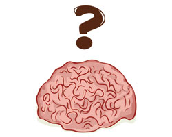 Какие изменения происходят в головном мозгу при бессоннице?