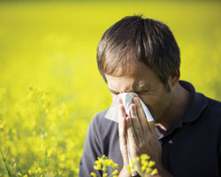Как уберечь себя от весенней аллергии?