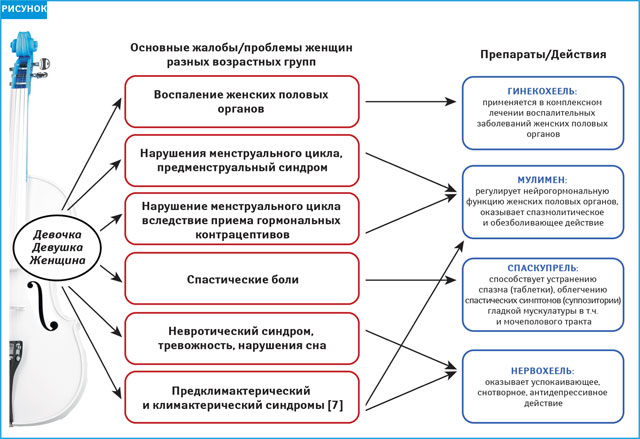 Квартет препаратов Хеель: забота о женском здоровье от природы!