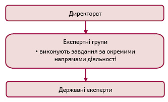 Структура директорату