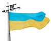 Указ Президента України № 467/2011