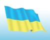 Проект наказу Міністерства охорони здоров’я України «Про внесення змін до наказів МОЗ України»
