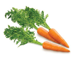 Почему необходимо есть морковь?