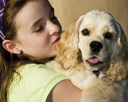 Детям с аутизмом полезно общаться с несколькими домашними животными
