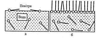  Будова мономолекулярного шару ПАР на поверхні води: 