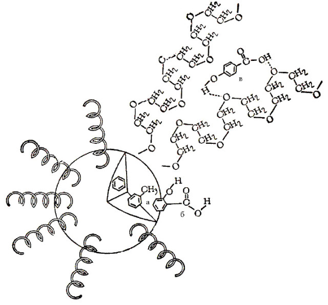 wpid-excipients_5_01_fmt.jpeg