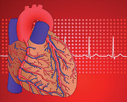 Какова вероятность внезапной остановки сердца во время физической нагрузки?