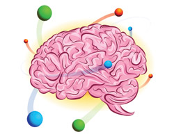 Определены 8 ключевых компонентов для сохранения здоровья головного мозга