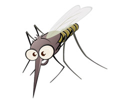Что необходимо знать про укусы насекомых?