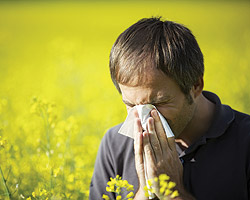 Сезон аллергии: как уберечься от ее развития?