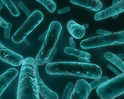 Микроорганизмы кишечника — новые «отпечатки пальцев»?