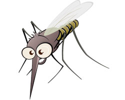 Стоит ли использовать средства от насекомых дома?