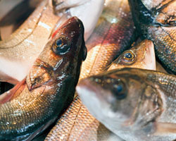Узнайте, какую рыбу стоит добавить в рацион питания