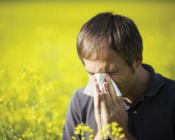 Аллергия. Интересные факты