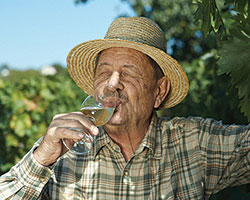 Алкоголь может быть полезен лицам с болезнью Альцгеймера?