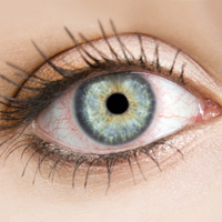 Ученые приблизились к решению проблемы сухости глаз