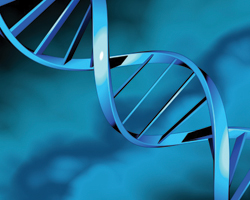 Найдены тысячи редких мутаций генов, связанных с развитием рака